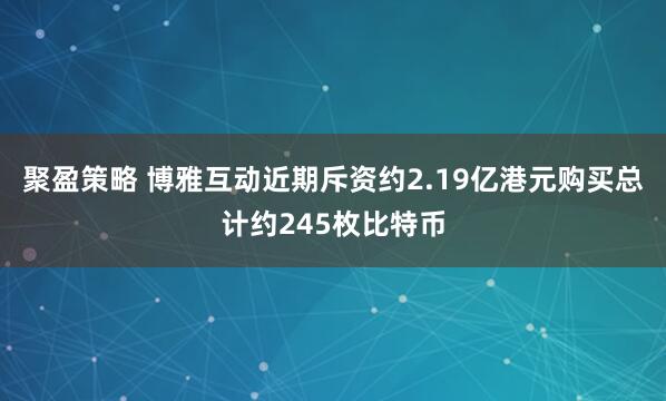 聚盈策略 博雅互动近期斥资约2.19亿港元购买总计约245枚比特币